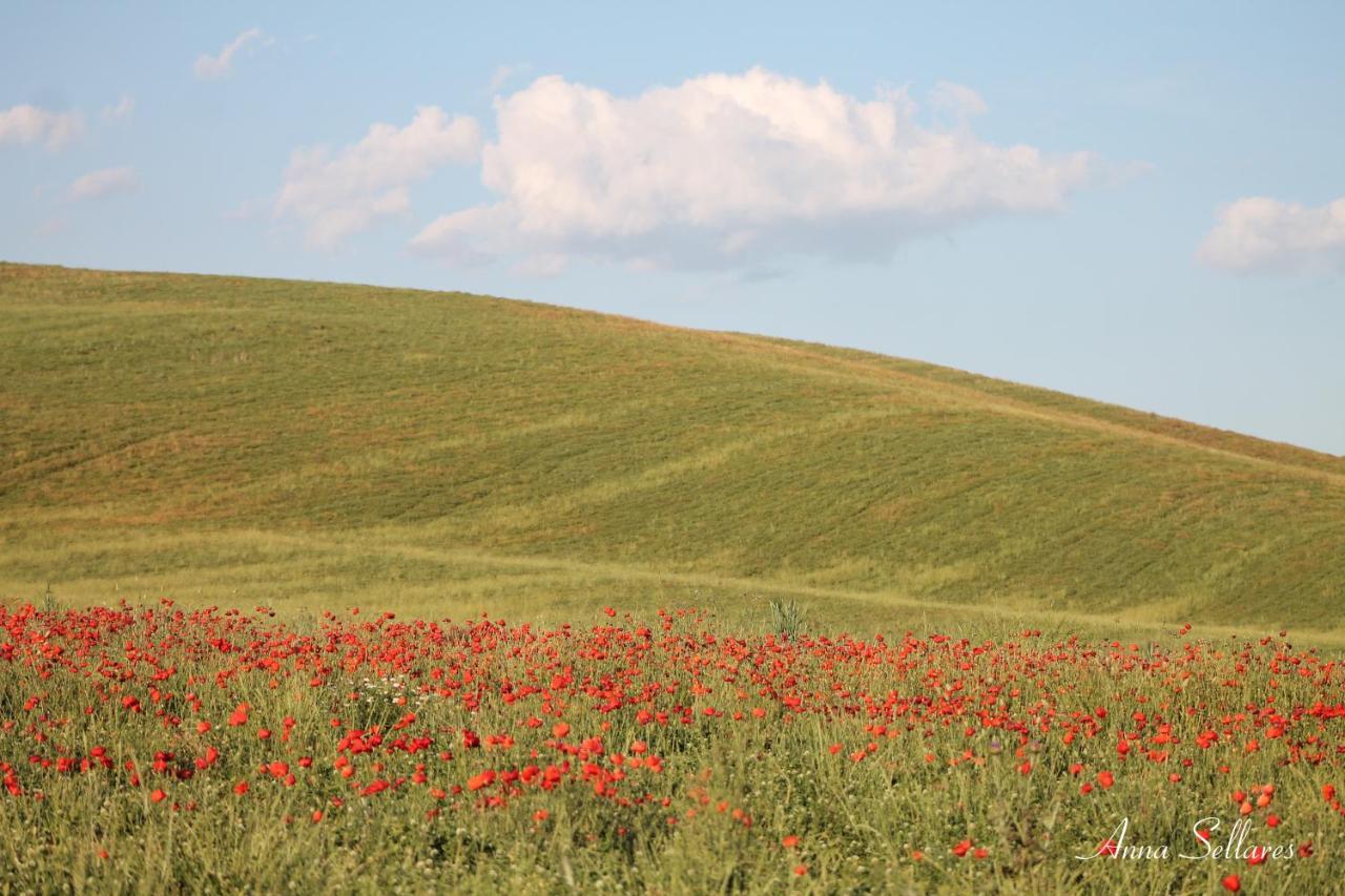 Appartement Soleluna à San Quirico dʼOrcia Extérieur photo